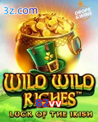 82vv slot wild wild riches